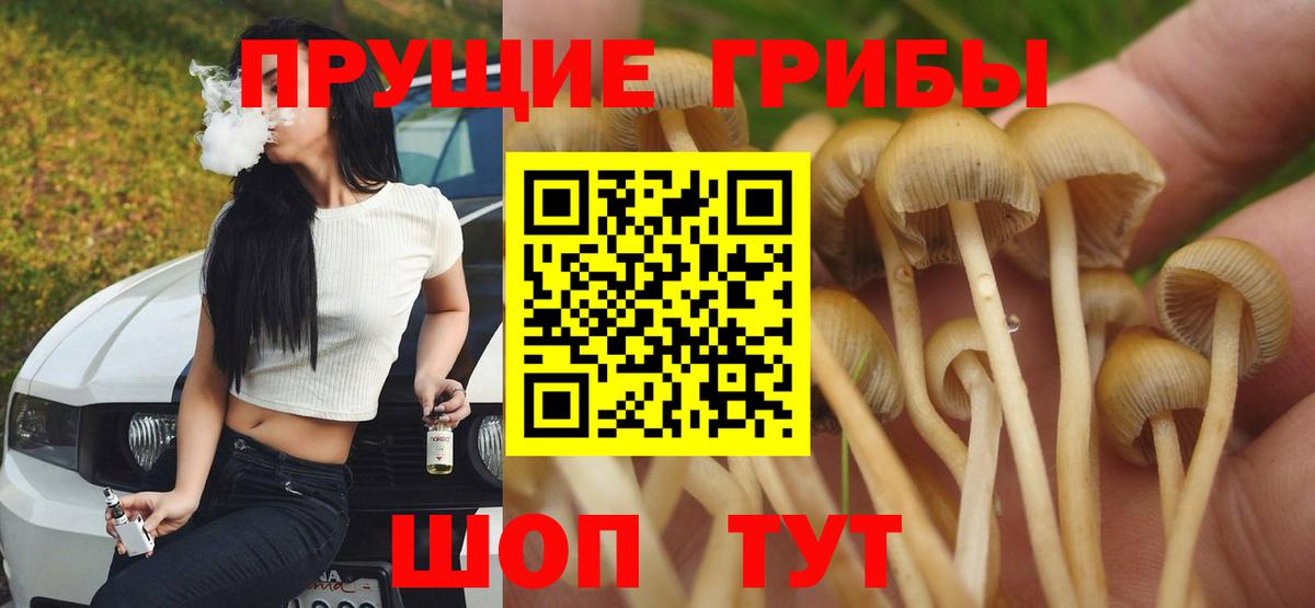 Новосибирск  Псилоцибиновые грибы мицелий  Вход с VPN 
